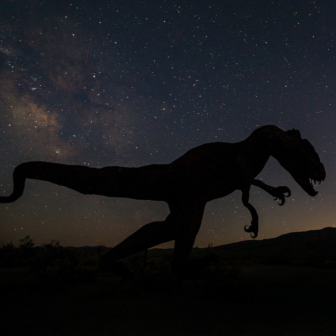 Drones and Dinosaurs: Pterodactyls Could Inspire the Next Generation of  Planes. 